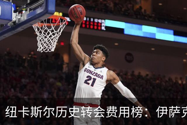纽卡斯尔历史转会费用榜：伊萨克位居第一，尼科夺第六